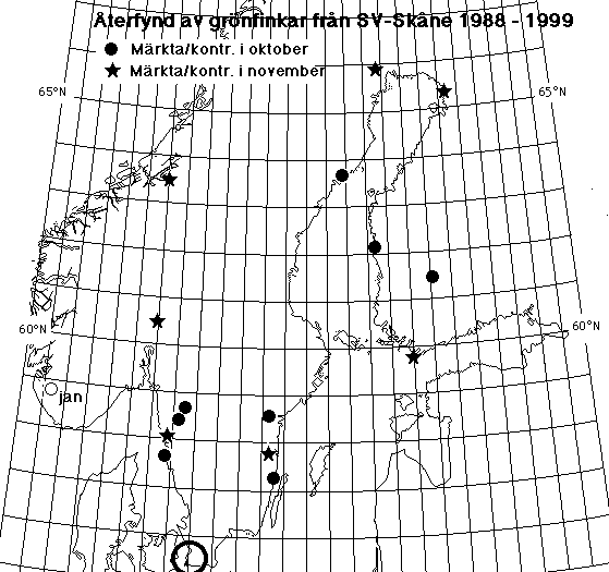 grf rekryteringsomr.