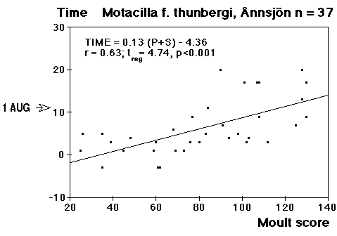 Ånnsjön/moult