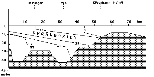 salthalt/salinity-Öresund