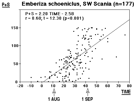 P+S on TIME/Skåne