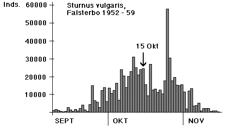 Starling/Fbo