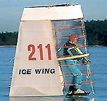 Stand inside wing ice skate
                  sail
