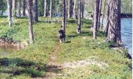 Kotten och Nina p� Ellaholmen 2001