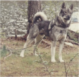 Rai f�dd 86-03-15 pappa till Nina och Kotten