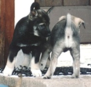 Nina och Kaisa 