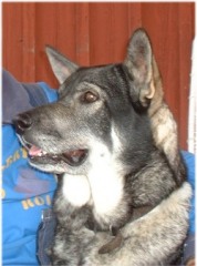 Kotten 2002