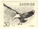 a183.jpg - 2.92 K