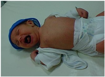 Image 15 of 264  -  18 kB