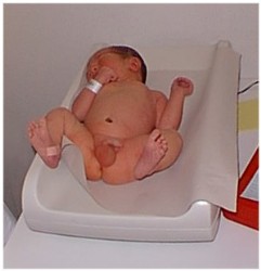 Image 18 of 264  -  13 kB