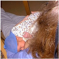 Image 19 of 264  -  25 kB