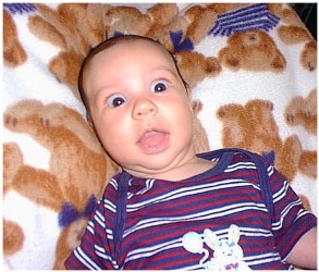 Image 24 of 264  -  32 kB