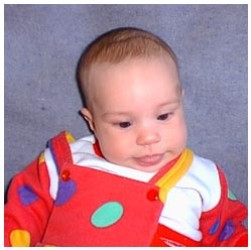 Image 31 of 264  -  17 kB