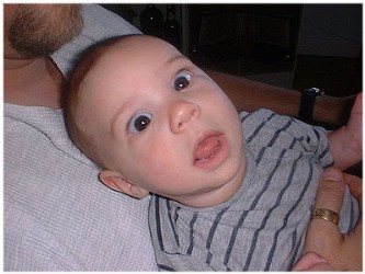 Image 46 of 264  -  26 kB