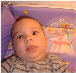 Image 50 of 264  -  22 kB