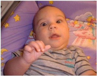 Image 51 of 264  -  23 kB