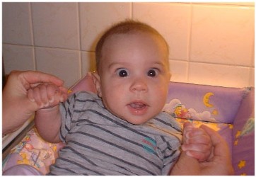 Image 54 of 264  -  24 kB