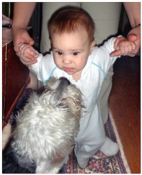 Image 66 of 264  -  21 kB