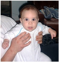 Image 69 of 264  -  22 kB