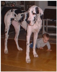 Image 80 of 264  -  17 kB