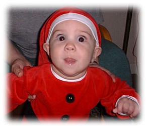 Image 92 of 264  -  19 kB