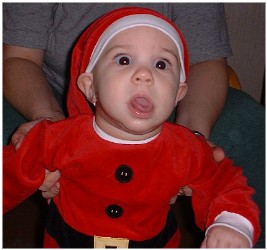 Image 94 of 264  -  20 kB