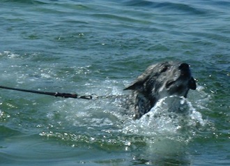Nina på Öland 2002