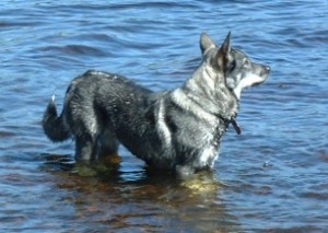 Nina på Ellaholmen i Tandsjön, 2002