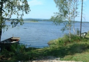 Fågelsjön i Sjöändan, Orsa Finnmark 2002