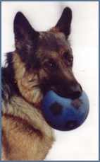 Pepsie med sin boll 2001