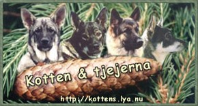 Kotten och tjejerna