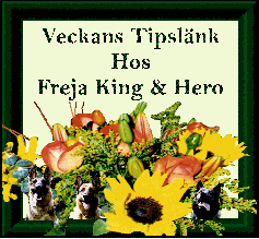 Mycket uppskattad gva, tack tack