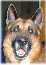 Skogabos Alex 11 år 2002-08-17