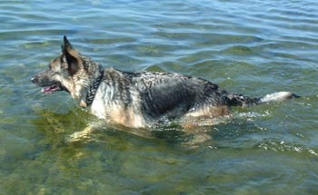 Pepsie badar Öland 2002