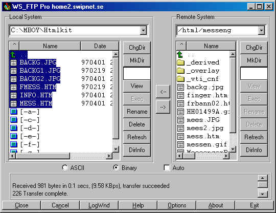 ftp.jpg (46361 bytes)
