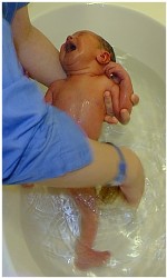 Image 2 of 264  -  12 kB