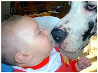 Kommer du n&auml;rmre s&aring; biter jag dig i n&auml;san!