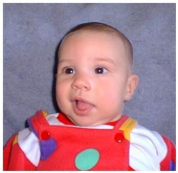 Image 28 of 264  -  17 kB