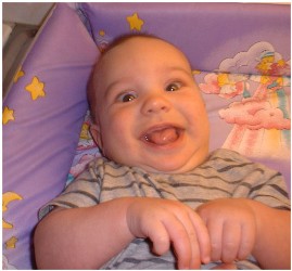 Image 49 of 264  -  20 kB