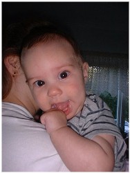 Image 59 of 264  -  13 kB