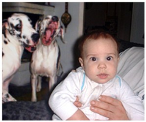 Image 60 of 264  -  21 kB