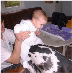 Image 61 of 264  -  23 kB