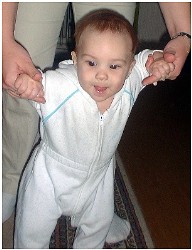 Image 68 of 264  -  18 kB