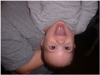 Image 79 of 264  -  22 kB