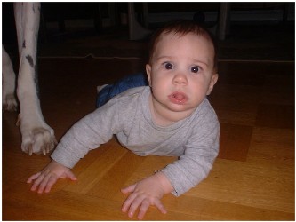 Image 81 of 264  -  20 kB