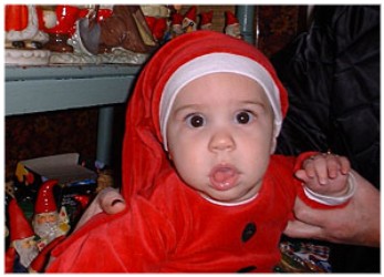 Image 85 of 264  -  27 kB