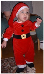 Image 88 of 264  -  14 kB