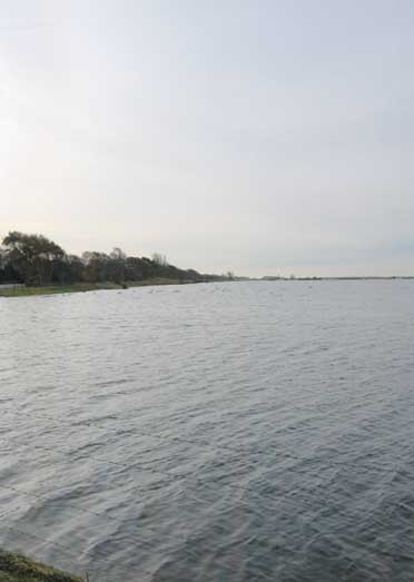 Flommen inundated