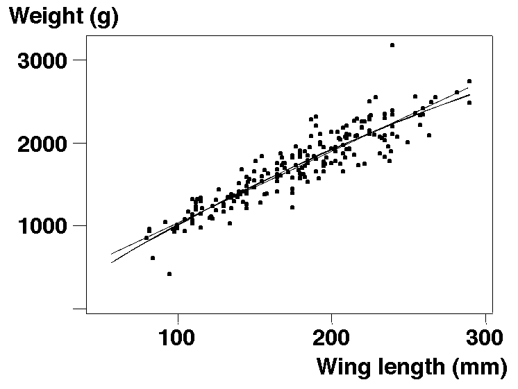 weight on wing