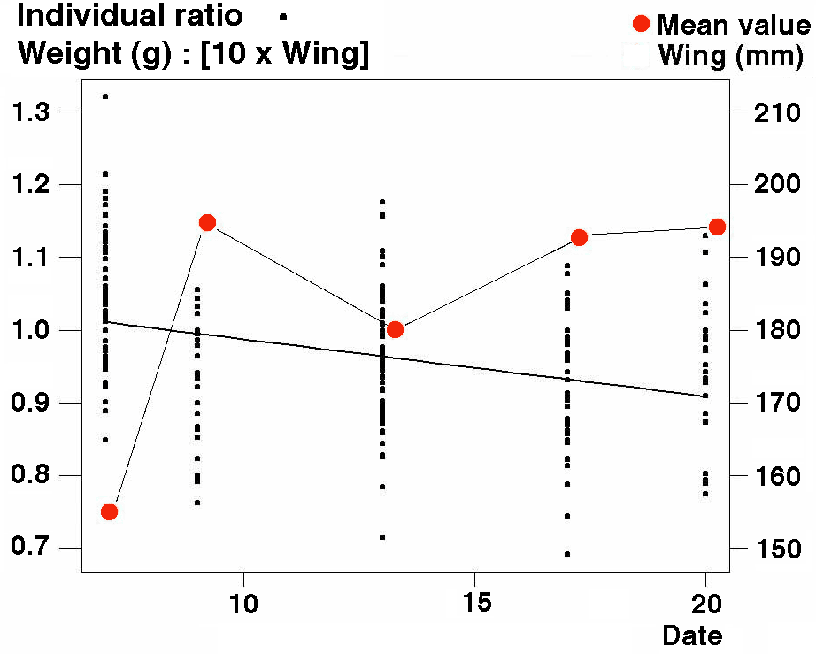 weightwing ratio on time-2004