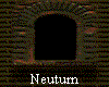  Neuturn 